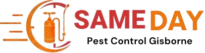 same day duct cleaning sunbury logo